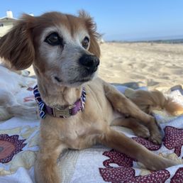 Enjoying the the beach Enjoying the the beach