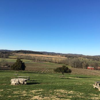 Arrington Vineyards - The view from up top February 2019 - Wine Tasting Room Near Me - Arrington, Tennessee Arrington Vineyards - The view from up top February 2019 - Wine Tasting Room Near Me - Arrington, Tennessee