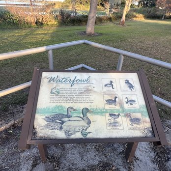 Lake Hartrige Nature Park - Parks Near Me - Winter Haven, Florida Lake Hartrige Nature Park - Parks Near Me - Winter Haven, Florida