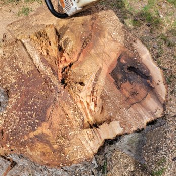 Tree Masters Expert Tree Care - Tree Services Near Me Tree Masters Expert Tree Care - Tree Services Near Me