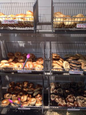 What A Bagel by null