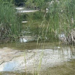 Inga's Trail
