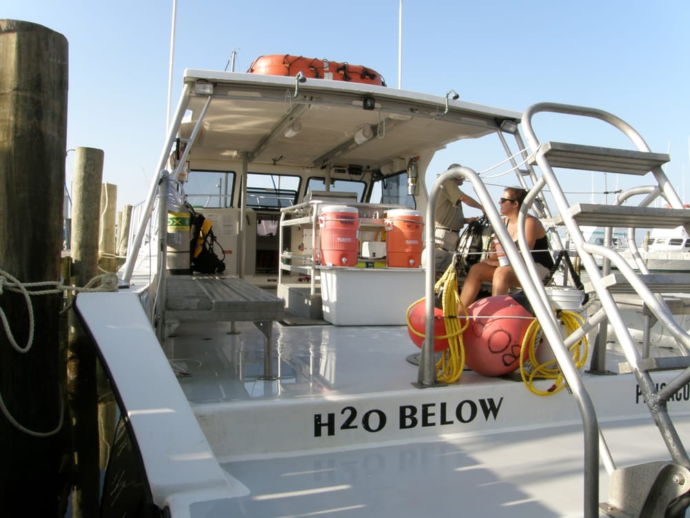 Three Wire Charters Logo