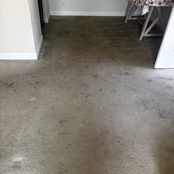 Floor + Medics - Carpet Cleaning Near Me - San Diego, California Floor + Medics - Carpet Cleaning Near Me - San Diego, California