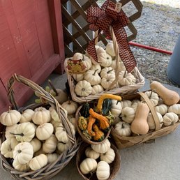 Pumpkins