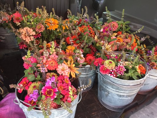Fulshear Farmers Market by null
