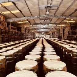 Tabasco Brand Factory Tour & Museum - There's Tabasco in theme there barrels.