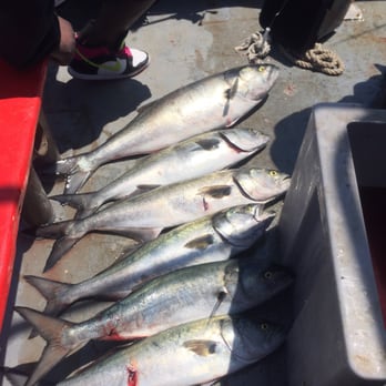 Midnight Fleet - My catch. - Fishing Near Me - Brooklyn, New York