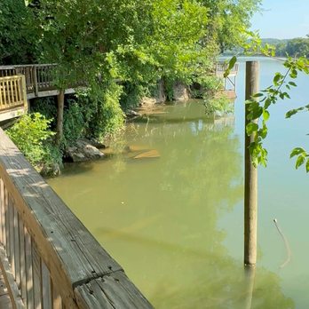 Ijams Nature Center - Ijams Nature Center in Knoxville, Tennessee | Rees's Roots - Parks Near Me - Knoxville, Tennessee