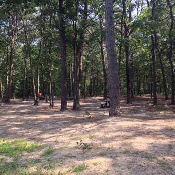 Selden Dog Park - Seems to go on forever - really glad for the dogs that they didn't skimp on the size of this park. - Dog Parks Near Me - Selden, New York Selden Dog Park - Seems to go on forever - really glad for the dogs that they didn't skimp on the size of this park. - Dog Parks Near Me - Selden, New York
