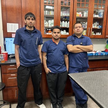 Doolittle Pet Hospital - Prince,Jazz & Jeorge are the doctors right hand! These three assit with giving your pet the BEST care during thier visits! - Veterinarians Near Me - San Leandro, California Doolittle Pet Hospital - Prince,Jazz & Jeorge are the doctors right hand! These three assit with giving your pet the BEST care during thier visits! - Veterinarians Near Me - San Leandro, California