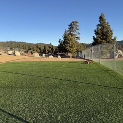 Mammoth Lakes Community Dog Park - The turf is great! Love the little walking path around the permitter too!