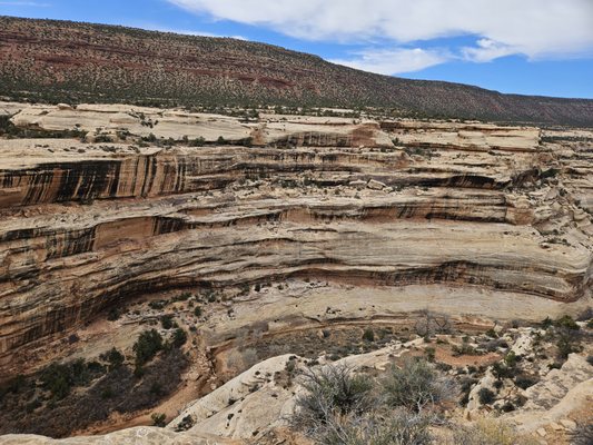 Natural Bridges National Monument by null