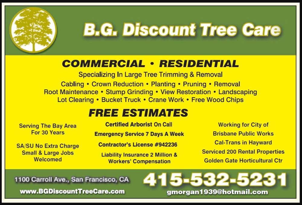 B G Discount Tree Care - tree service in San Francisco, CA