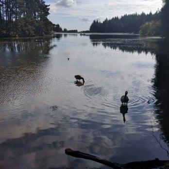 Beecraigs Country Park - Hotels & Travel Near Me