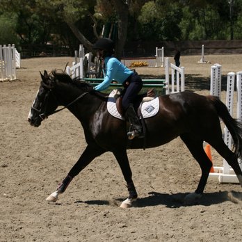 DVG Show Stables at Blue Fox Farm - Horseback Riding Near Me - Escondido, California DVG Show Stables at Blue Fox Farm - Horseback Riding Near Me - Escondido, California