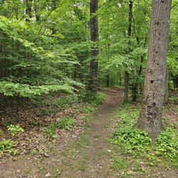 Maywood Pocket Park - One of the trails