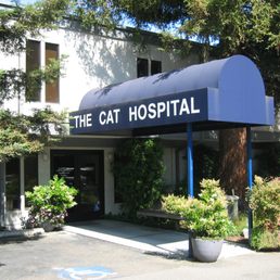 Exterior outside entrance of The Cat Hospital - Campbell, California Exterior outside entrance of The Cat Hospital - Campbell, California
