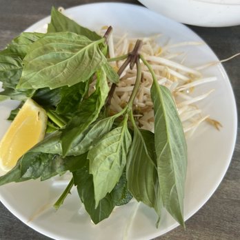 Pho Nam Lua - Vietnamese Near Me - Chicago, Illinois