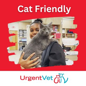 UrgentVet - Smithfield - Veterinarians Near Me - Smithfield, Rhode Island UrgentVet - Smithfield - Veterinarians Near Me - Smithfield, Rhode Island