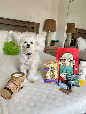 Off the Leash by null