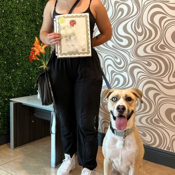 ACA Center - ACA CENTER Dog Training - Pet Training Near Me - Miami, Florida ACA Center - ACA CENTER Dog Training - Pet Training Near Me - Miami, Florida