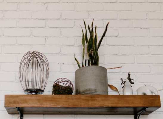 The Baked Bear by null