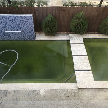 Blue Ocean Pool Service - Here is what my pool looks like almost every month because it's never cleaned weekly. This is now a 5 week no show. I paid and get this. - Pool Cleaners Near Me Blue Ocean Pool Service - Here is what my pool looks like almost every month because it's never cleaned weekly. This is now a 5 week no show. I paid and get this. - Pool Cleaners Near Me