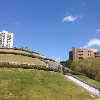 McGovern Centennial Gardens - Parks Near Me - Houston, Texas McGovern Centennial Gardens - Parks Near Me - Houston, Texas