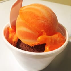 Mr Ice Guy Italian Ices
