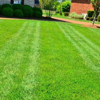 Engle Lawn Care - Tree Services Near Me - Shickshinny, Pennsylvania Engle Lawn Care - Tree Services Near Me - Shickshinny, Pennsylvania