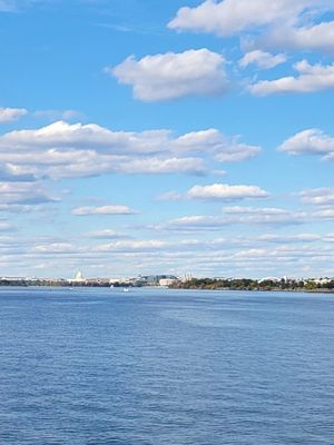 City Cruises by null