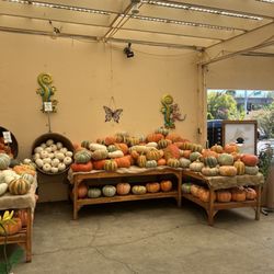 Sloat Garden Center