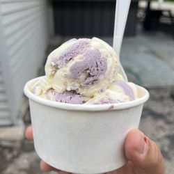 The Press and Scoop - Lavender ice cream
