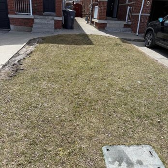 Junk Removal Empire - Photo - Junk Removal & Hauling Near Me - Brampton, Ontario