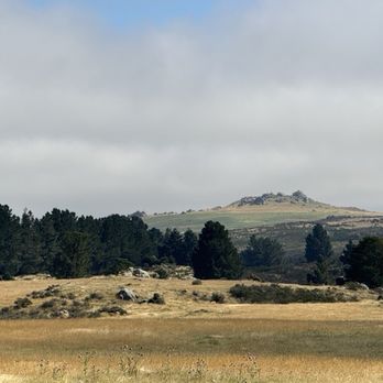 Taieri Gorge Railway - Tours Near Me - Dunedin, OTA