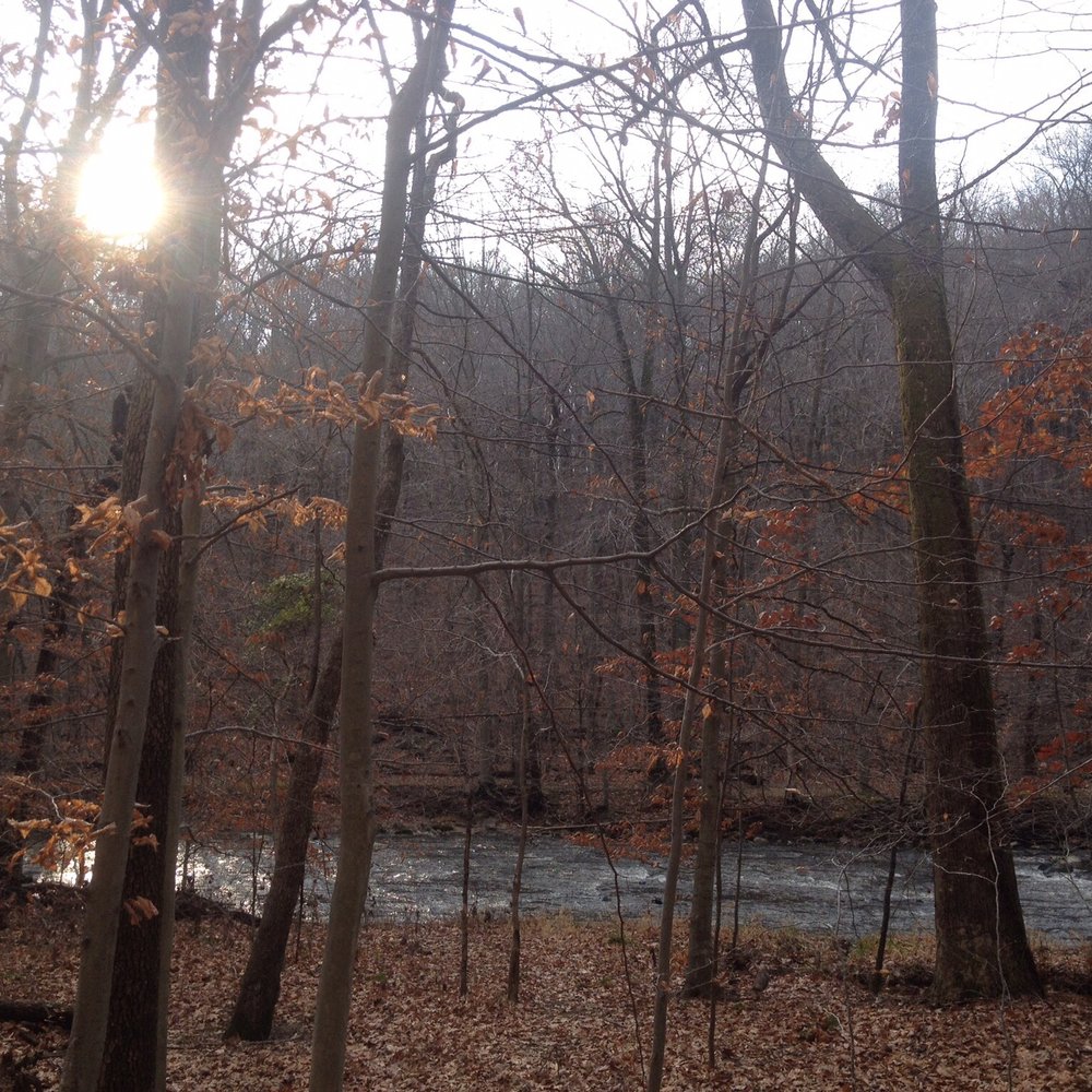 Gunpowder Falls State Park - Sun was going down - Parks Near Me - Bradshaw, Maryland Gunpowder Falls State Park - Sun was going down - Parks Near Me - Bradshaw, Maryland