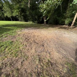 MTZ Professional Tree Services - Like the tree wasn't even there.