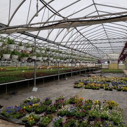 Prielipp Farms - Oh the flowers