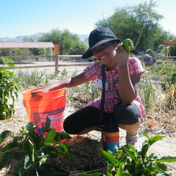 Tucson Village Farm - Community Service/Non-Profit Near Me - Tucson, Arizona