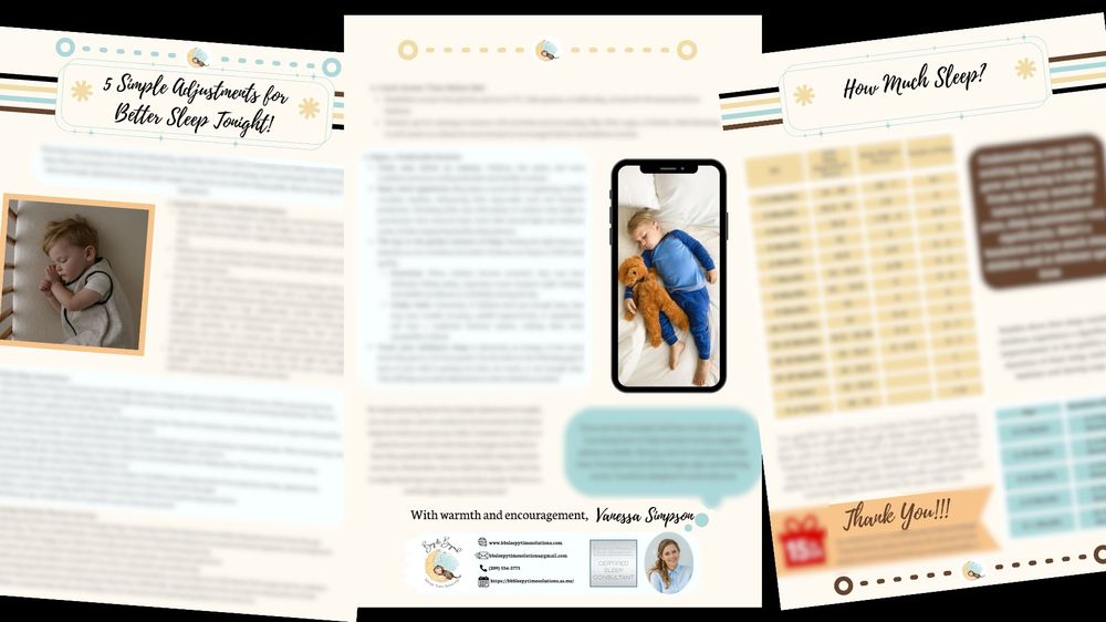 Bay & Beyond Sleepy Time Solutions - sleep specialist in Newark, CA