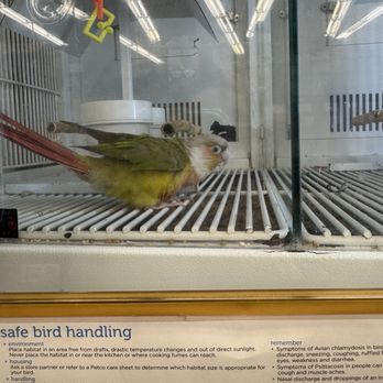 Petco - Pet Stores Near Me - San Jose, California Petco - Pet Stores Near Me - San Jose, California