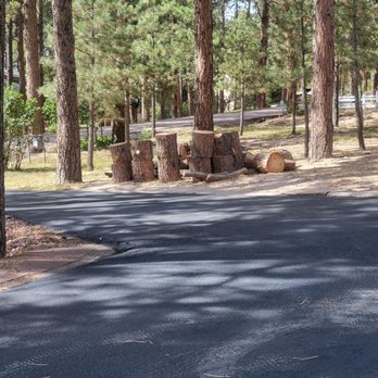 Tree Hoppers - All that is left....great clean up! - Tree Services Near Me