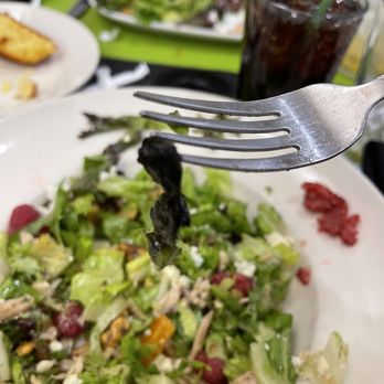 Chester's Kitchen and Bar - The leaf on the fork is rotten - New American Near Me - Rochester, Minnesota Chester's Kitchen and Bar - The leaf on the fork is rotten - New American Near Me - Rochester, Minnesota