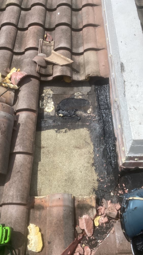 Slide of Tomas Roofer