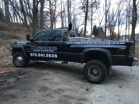 WOODPECKER TREE SERVICE - Updated January 2025 - 105 Photos & 29