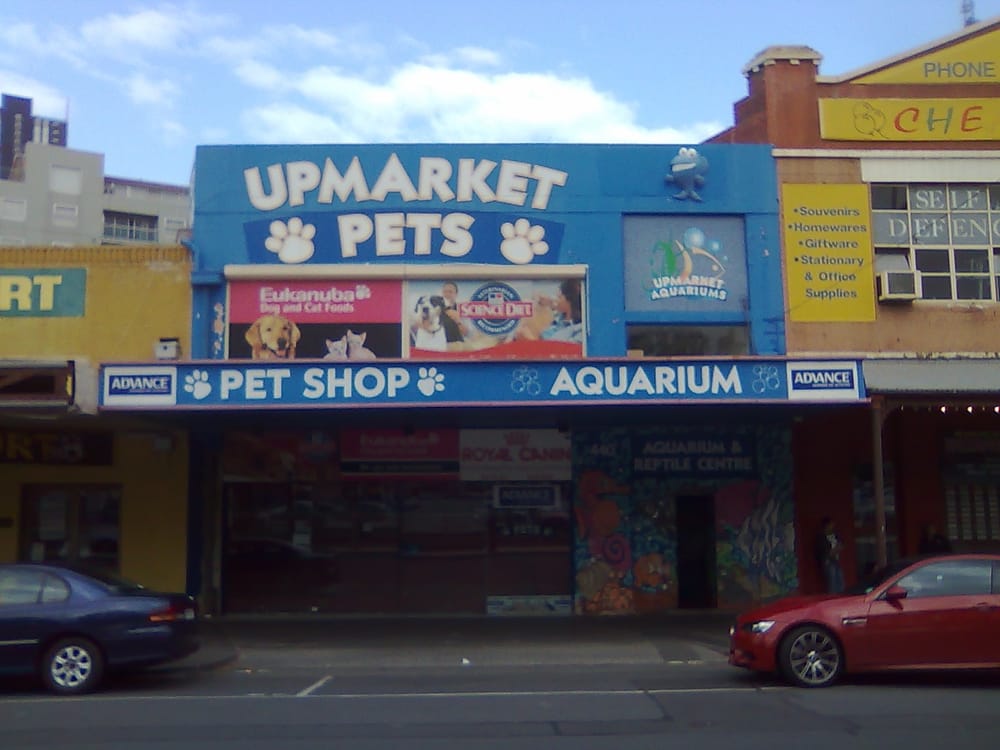 UPMARKET PETS Updated August 2024 440 Queen St, Melbourne Victoria, Australia Pet Stores