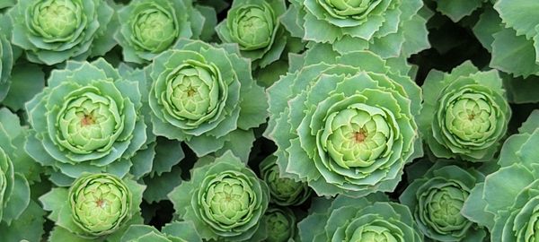 University of Alaska Anchorage by null