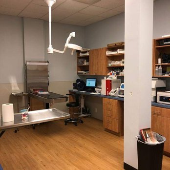 United Veterinary Center - Treatment area - Veterinarians Near Me - Norwalk, Connecticut United Veterinary Center - Treatment area - Veterinarians Near Me - Norwalk, Connecticut