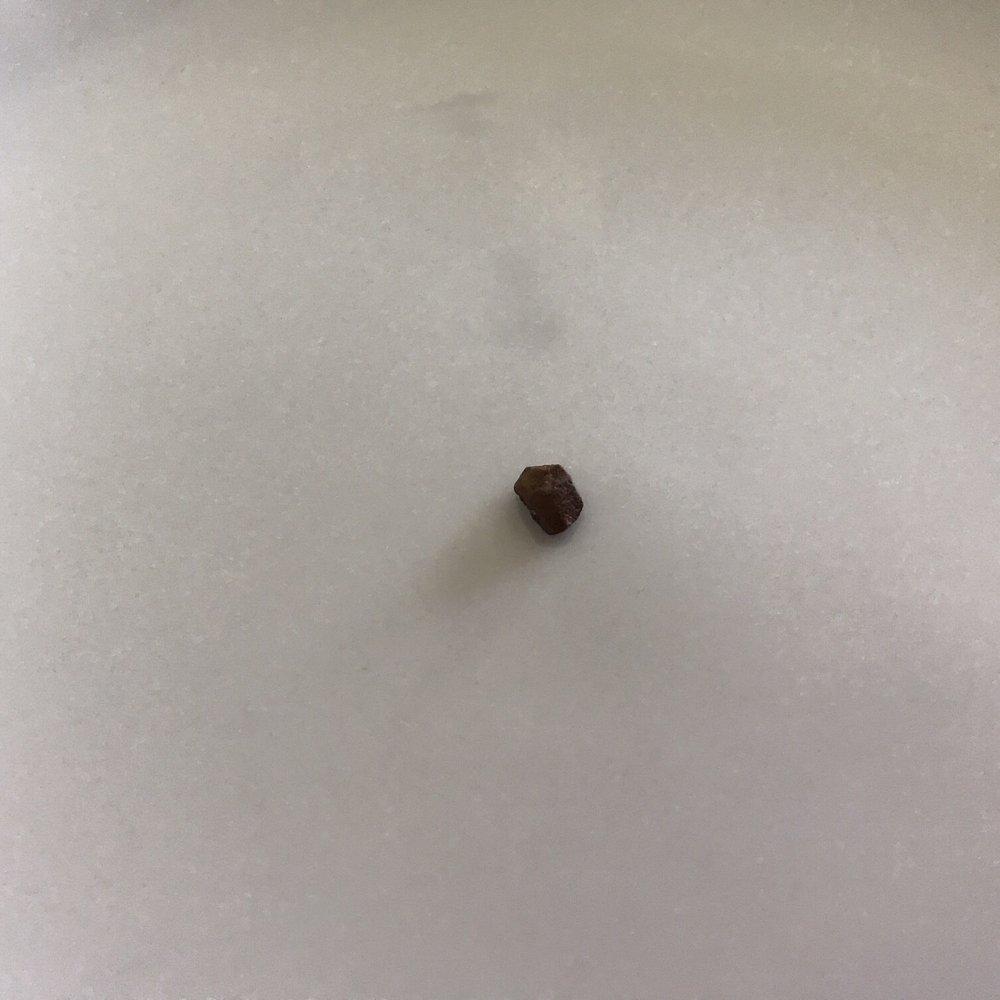 Panera Bread - A tiny pebble in my soup after washing it. - Sandwiches Near Me - Shiloh, Illinois Panera Bread - A tiny pebble in my soup after washing it. - Sandwiches Near Me - Shiloh, Illinois